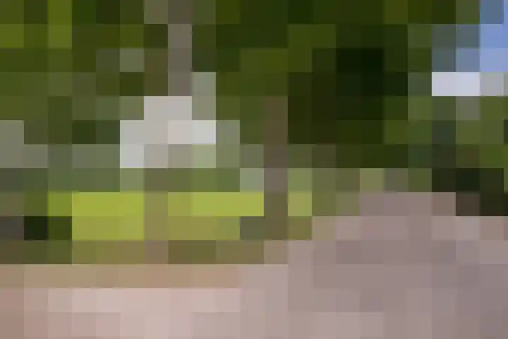 Schandelo 114 Velden thumbnail 71