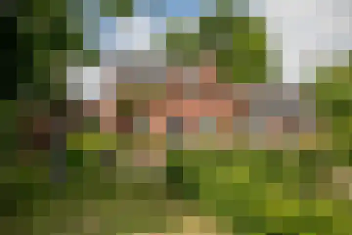 Schandelo 114 Velden thumbnail 74