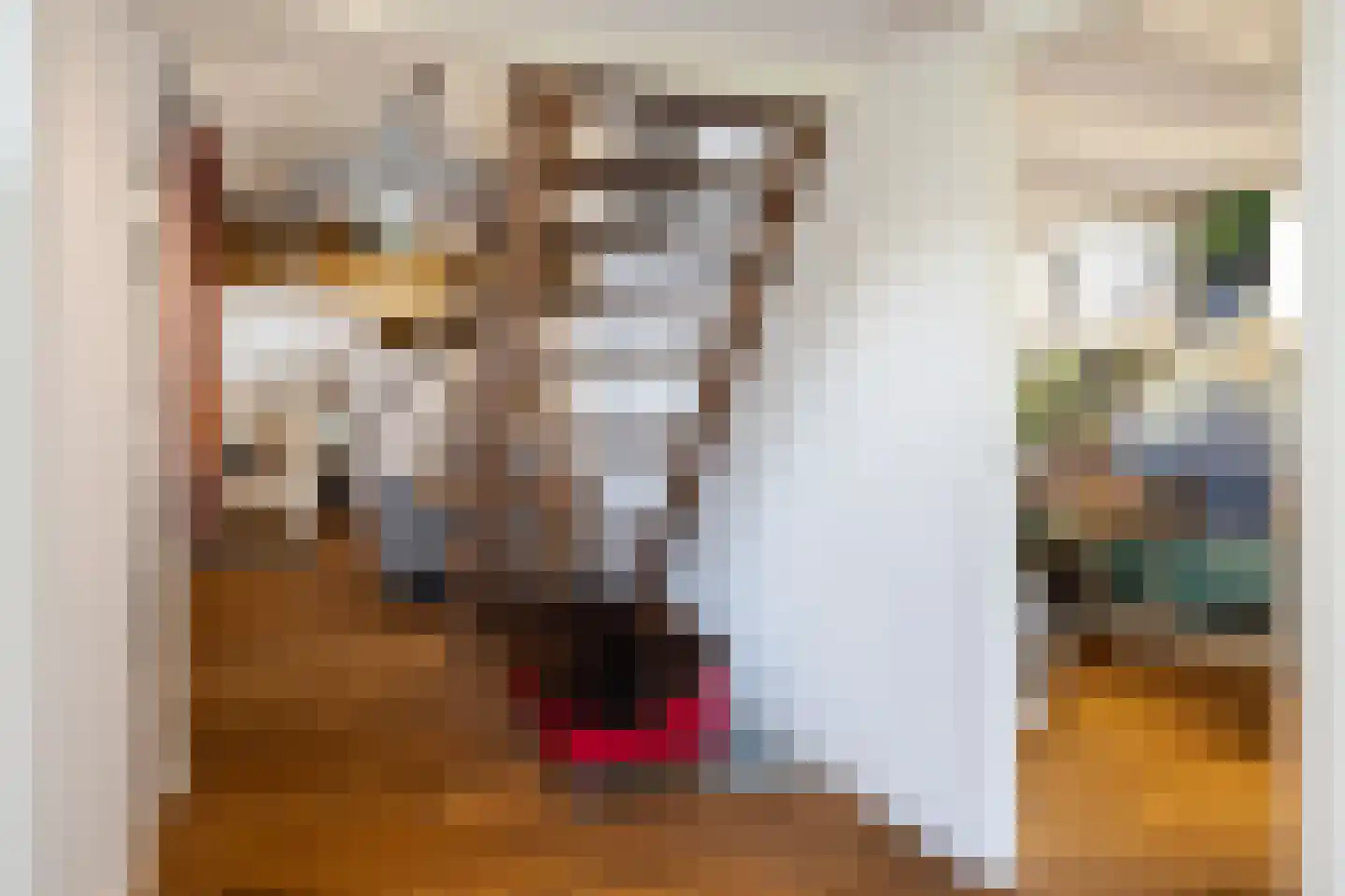 Schans 10 Stavoren thumbnail 14