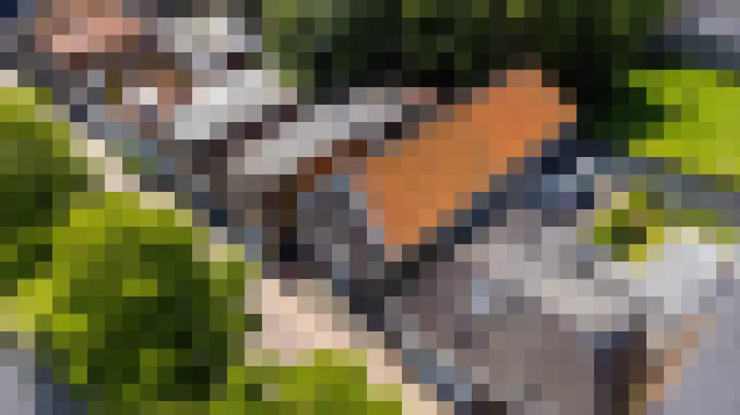 Schans 10 Stavoren thumbnail 37