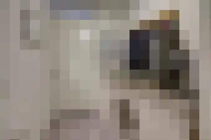Schans 137 Dronten thumbnail 11