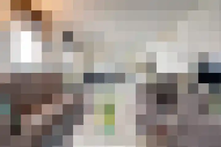 Schans 137 Dronten thumbnail 16