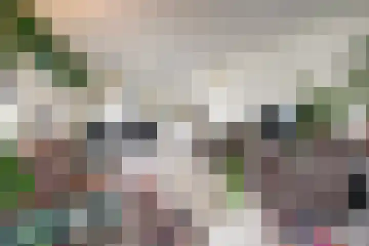 Schans 137 Dronten thumbnail 17