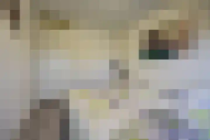 Schans 137 Dronten thumbnail 27