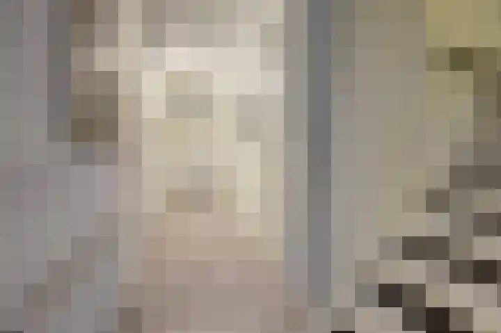 Schans 137 Dronten thumbnail 31