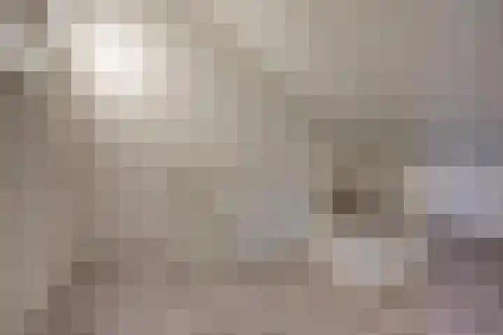 Schans 137 Dronten thumbnail 33