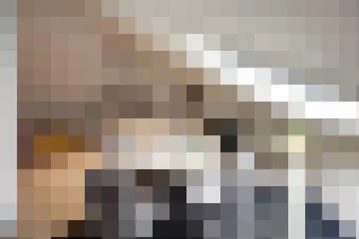 Schans 137 Dronten thumbnail 36