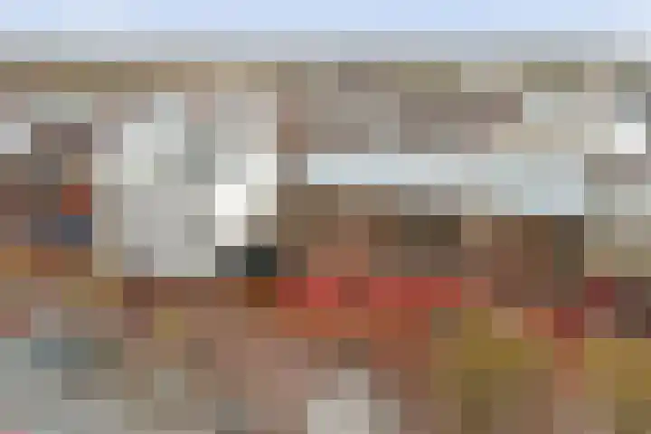 Schans 137 Dronten thumbnail 44