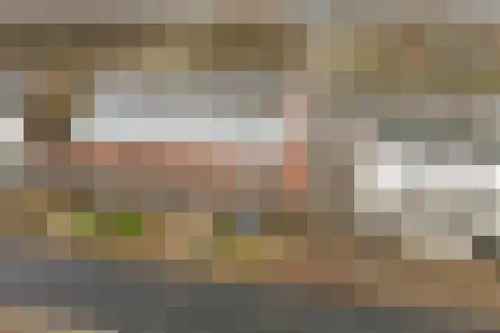 Schans 137 Dronten thumbnail 45