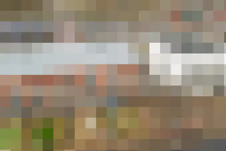 Schans 137 Dronten thumbnail 47