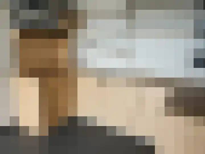 Schans 137 Dronten thumbnail 9