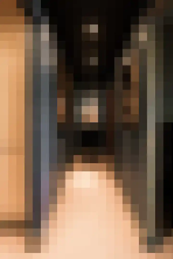 Schans 16 Arcen thumbnail 29