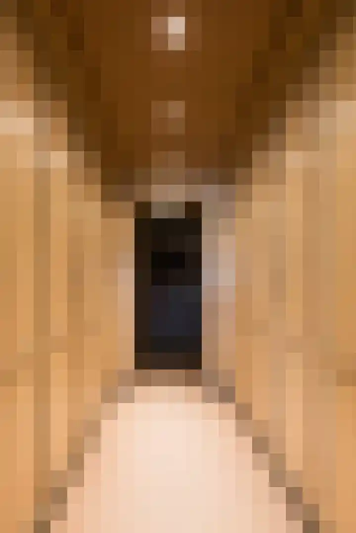 Schans 16 Arcen thumbnail 30
