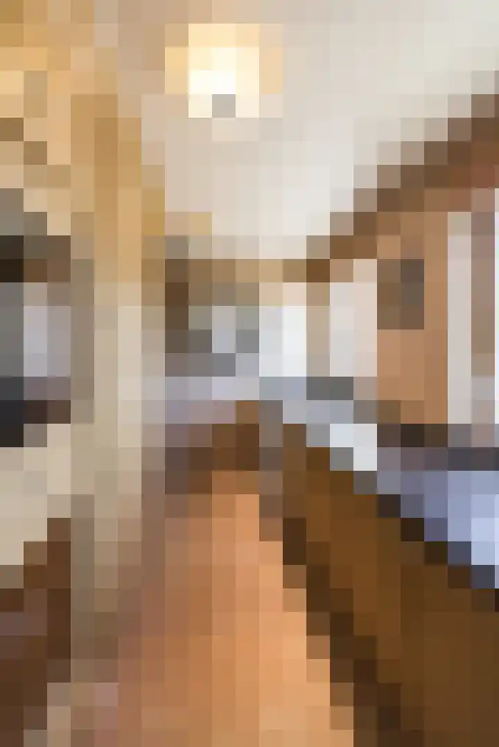Schans 16 Arcen thumbnail 8