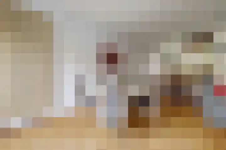 Schans 21 Huissen thumbnail 15