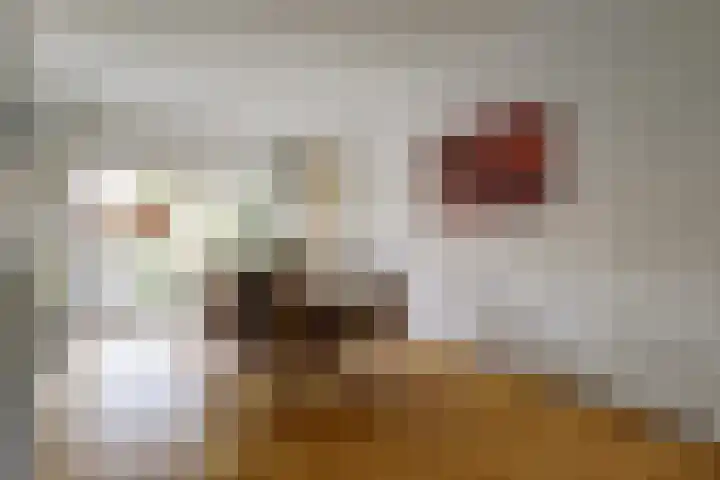 Schans 21 Huissen thumbnail 16