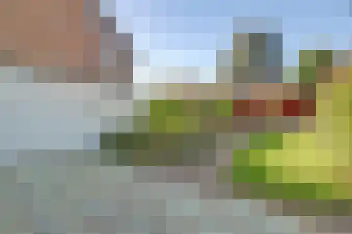 Schans 21 Huissen thumbnail 19