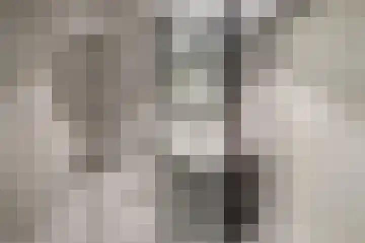 Schans 21 Huissen thumbnail 33