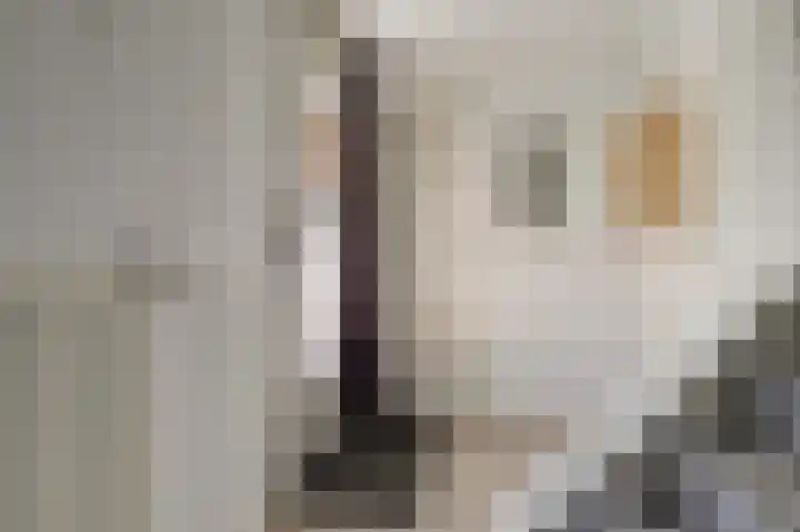 Schans 21 Huissen thumbnail 4