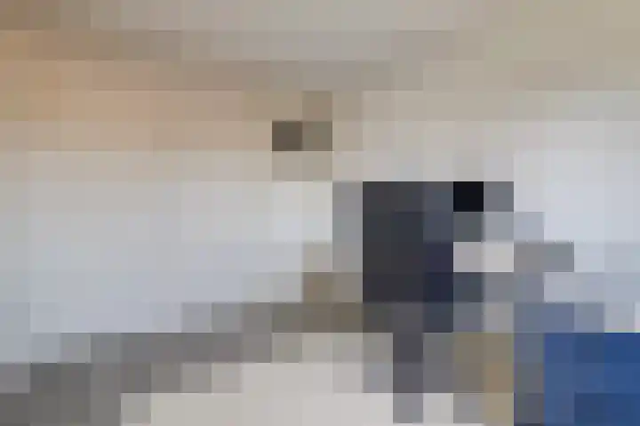 Schans 21 Huissen thumbnail 42