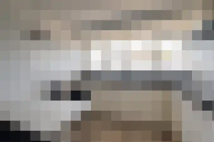 Schans 21 Huissen thumbnail 8