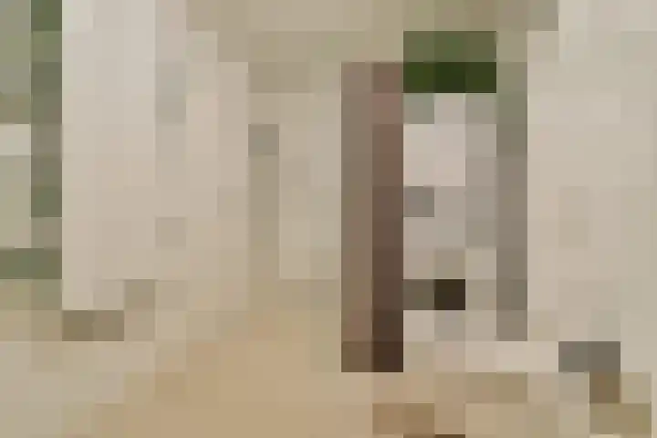 Schans 220 Uithoorn thumbnail 18