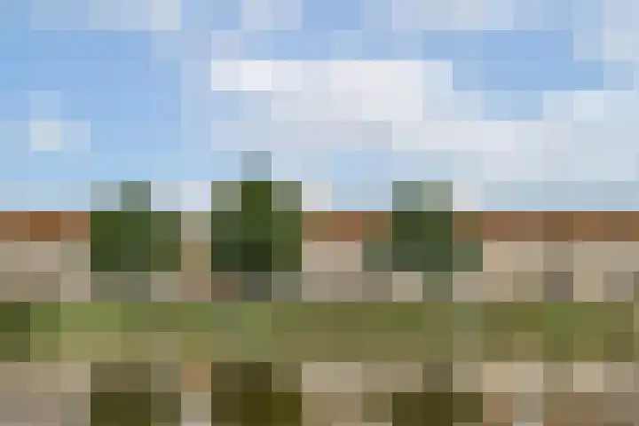Schans 220 Uithoorn thumbnail 19