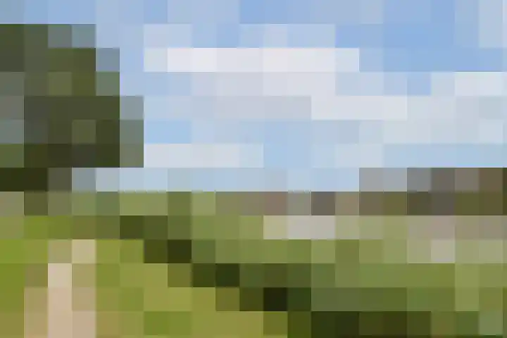 Schans 220 Uithoorn thumbnail 22