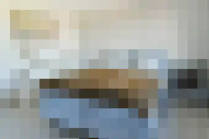 Schans 262 Uithoorn thumbnail 8