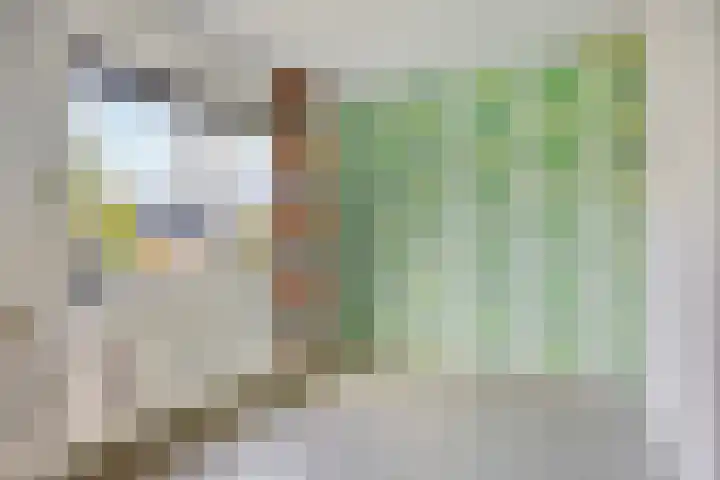 Schans 3 Woudrichem thumbnail 18