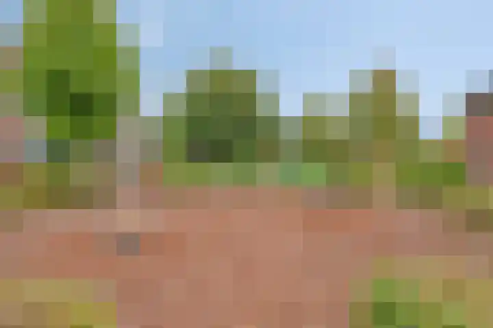 Schans 3 Woudrichem thumbnail 32