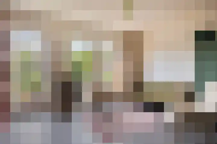 Schans 3 Woudrichem thumbnail 6