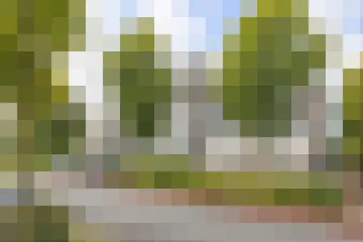 Schans 67 Beverwijk thumbnail 25