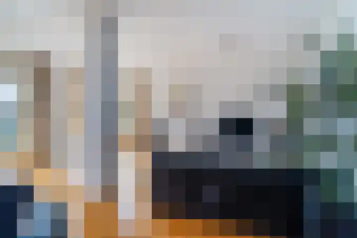 Schansbaan 120 Zoetermeer thumbnail 16