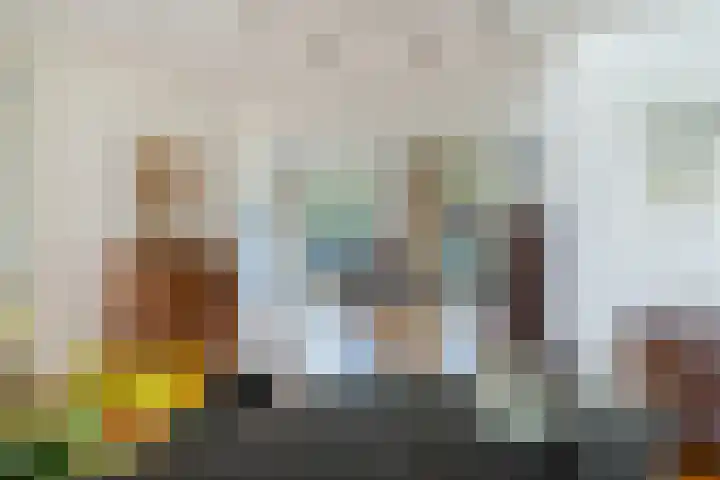 Schansbaan 120 Zoetermeer thumbnail 20