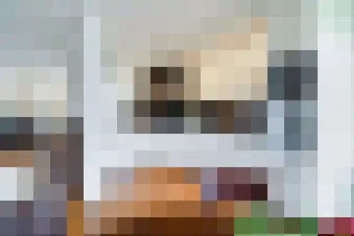 Schansbaan 120 Zoetermeer thumbnail 26