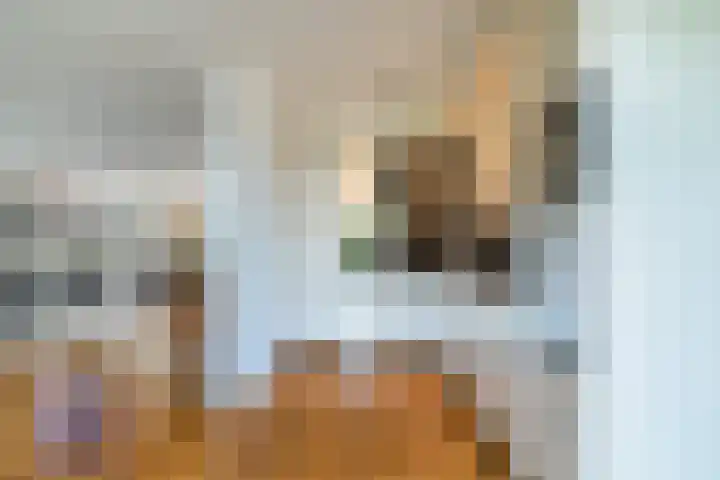 Schansbaan 120 Zoetermeer thumbnail 27