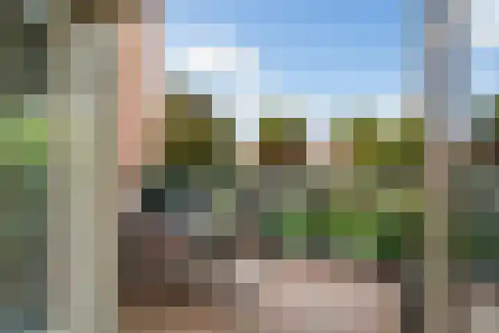 Schansbaan 120 Zoetermeer thumbnail 31