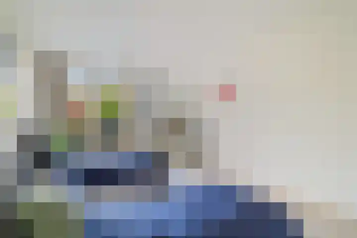 Schansbaan 120 Zoetermeer thumbnail 39
