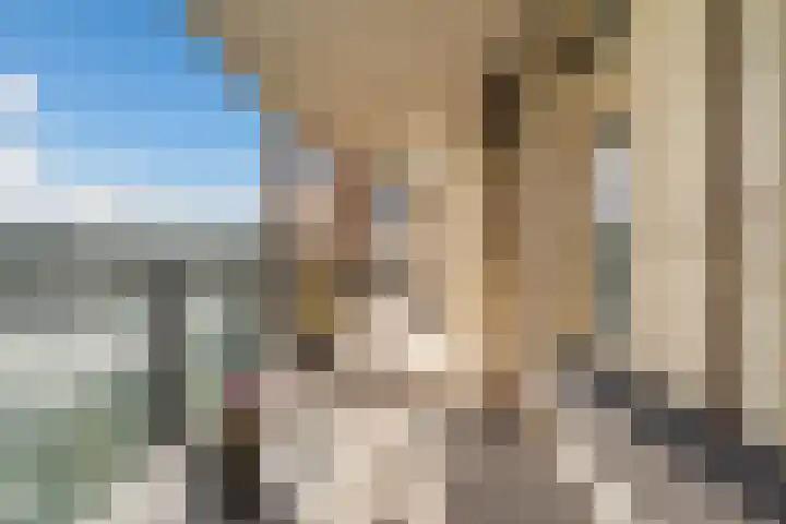 Schansbaan 120 Zoetermeer thumbnail 51