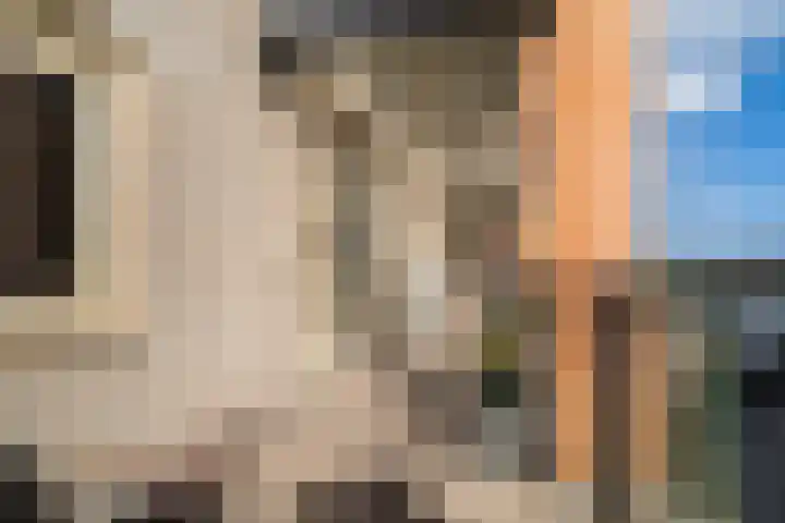 Schansbaan 120 Zoetermeer thumbnail 53