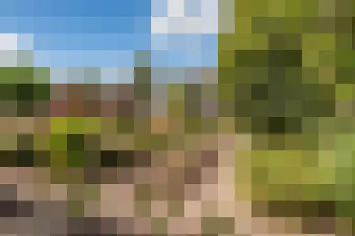 Schansbaan 120 Zoetermeer thumbnail 59