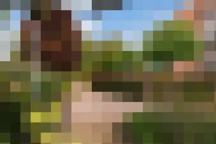 Schansbaan 120 Zoetermeer thumbnail 64