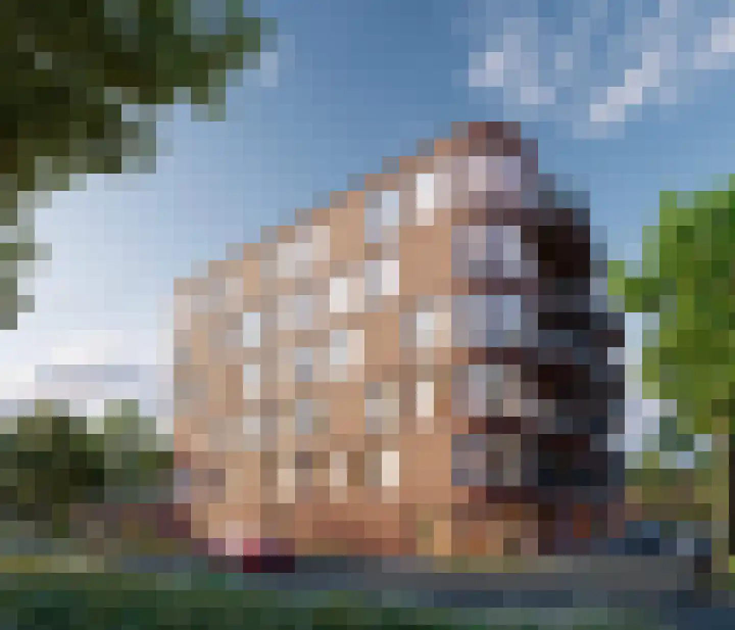 Schansdijk 10 Zevenbergen thumbnail 7