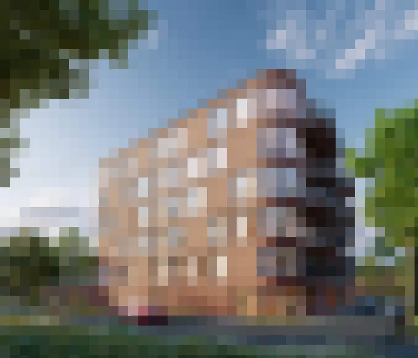 Schansdijk 3 Zevenbergen thumbnail 14