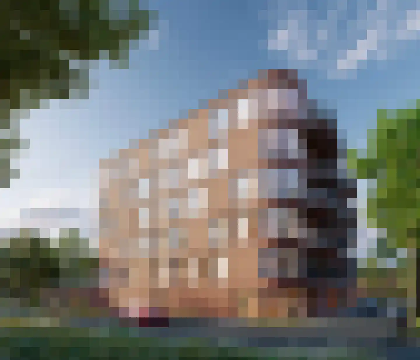 Schansdijk 3 Zevenbergen thumbnail 7