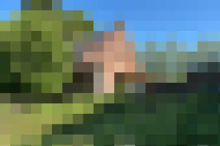 Schansdijk 5 De Heen