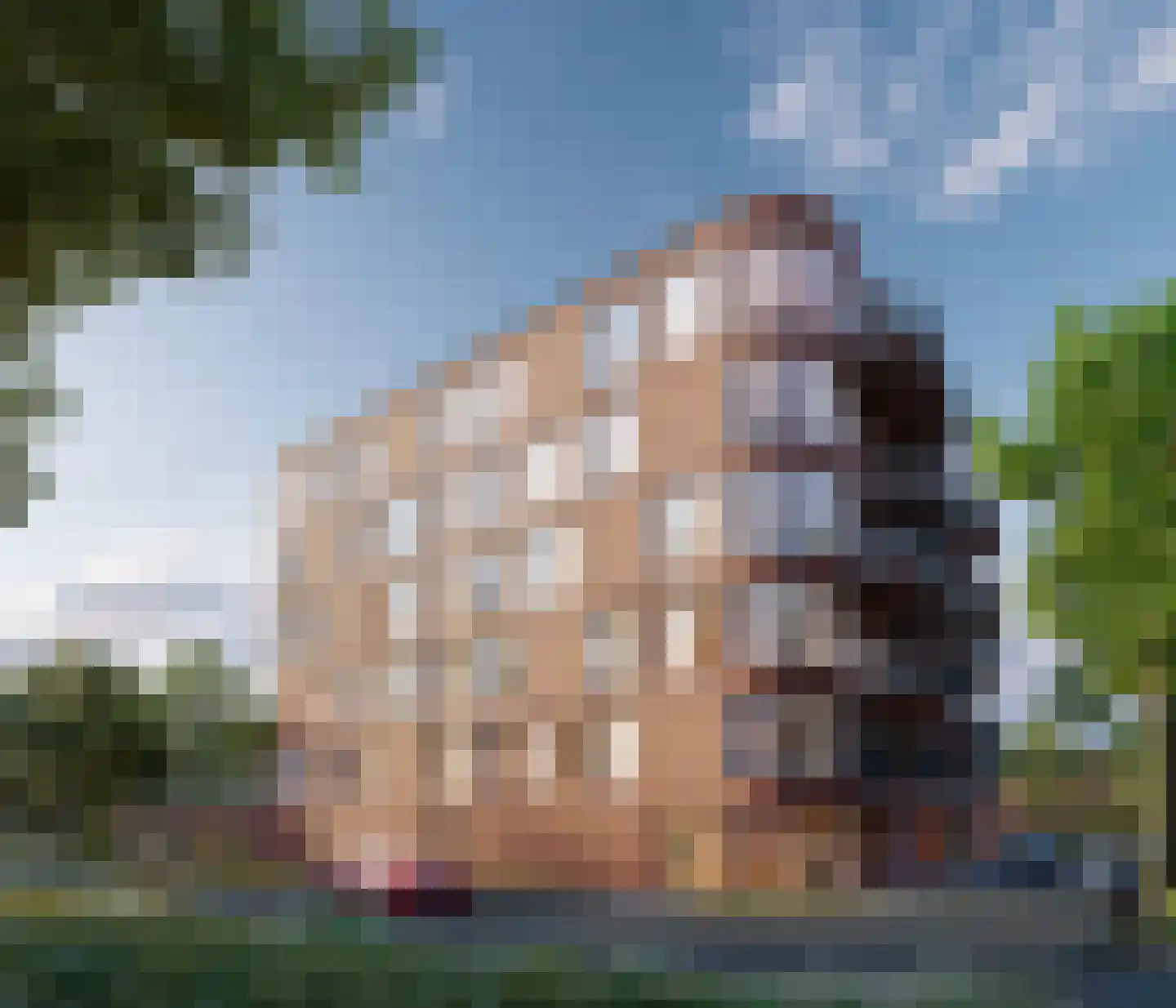Schansdijk 5 Zevenbergen