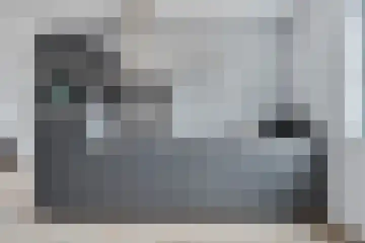 Schansdijk 7 Tholen thumbnail 16