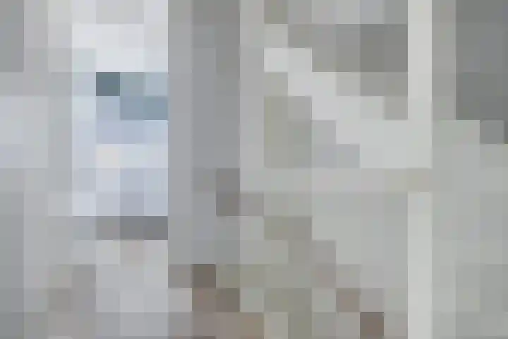 Schansdijk 7 Tholen thumbnail 20